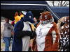 [Stunttiger MFF2006 026]