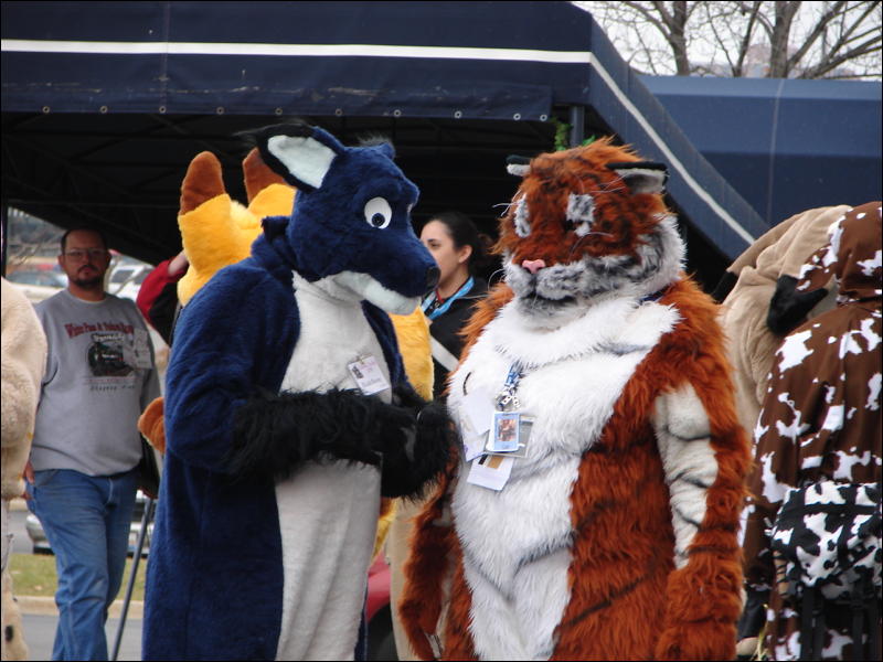 [Stunttiger_MFF2006_026.jpg]