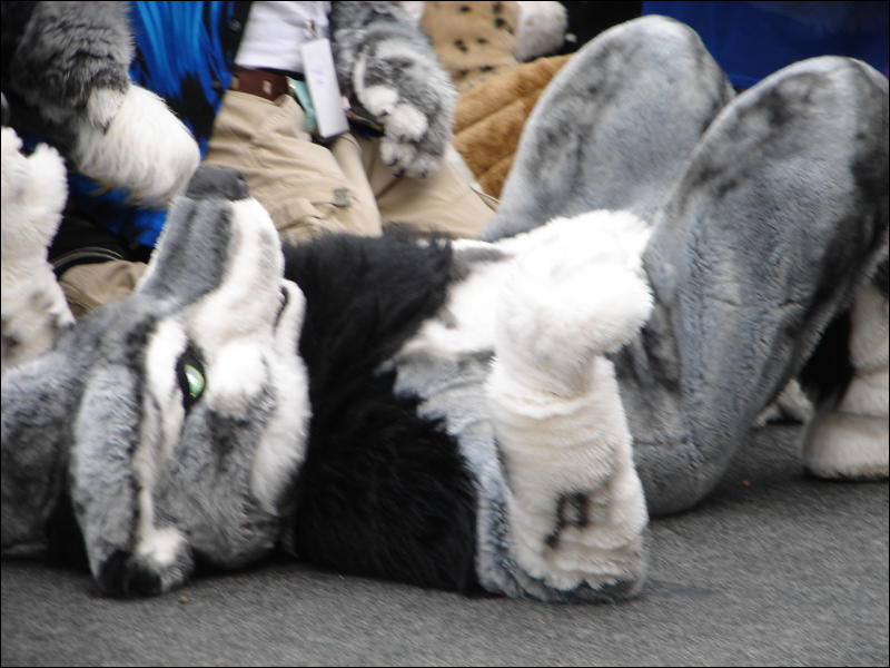 [Stunttiger_MFF2006_027.jpg]