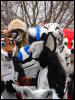 [Stunttiger MFF2006 030]