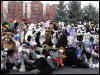 [Stunttiger MFF2006 031]