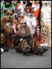 [Stunttiger MFF2006 038]