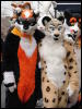 [Stunttiger MFF2006 045]