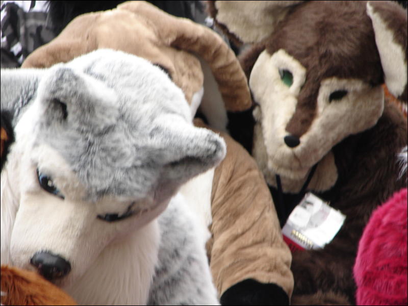 [Stunttiger_MFF2006_047.jpg]