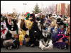 [Stunttiger MFF2006 052]