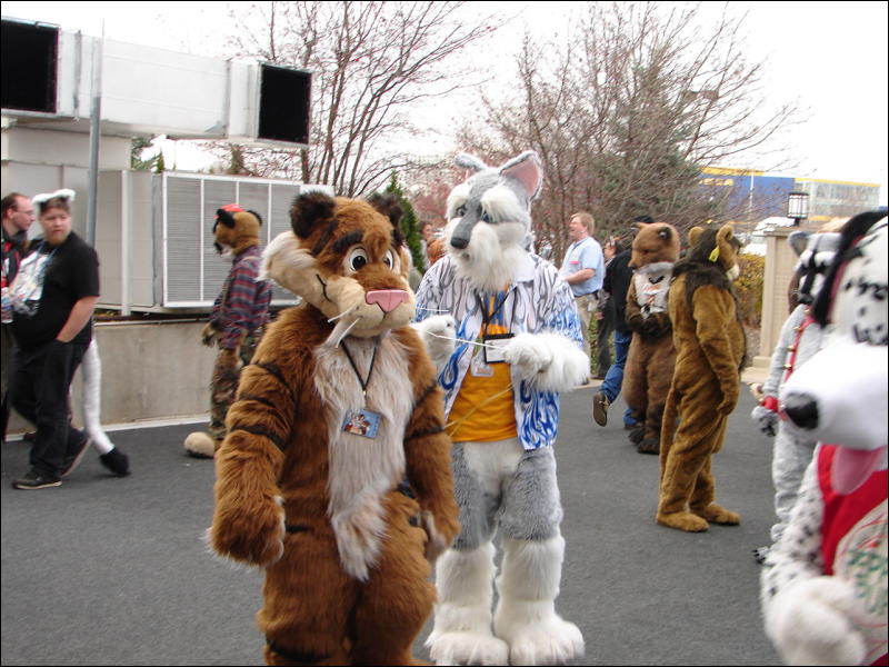 [Stunttiger_MFF2006_054.jpg]