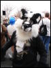 [Stunttiger MFF2006 057]