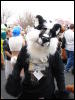 [Stunttiger MFF2006 058]