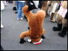 [Stunttiger MFF2006 059]