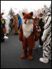 [Stunttiger MFF2006 061]