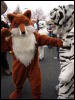 [Stunttiger MFF2006 062]