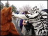 [Stunttiger MFF2006 063]