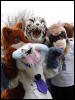 [Stunttiger MFF2006 067]