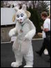 [Stunttiger MFF2006 071]