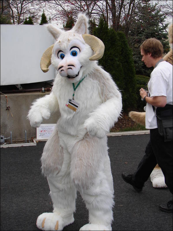 [Stunttiger_MFF2006_071.jpg]