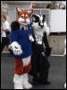 [Stunttiger MFF2006 072]