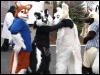 [Stunttiger MFF2006 076]