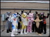 [Stunttiger MFF2006 077]