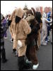 [Stunttiger MFF2006 079]