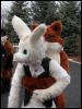 [Stunttiger MFF2006 082]