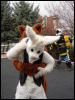 [Stunttiger MFF2006 083]