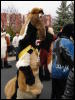 [Stunttiger MFF2006 084]