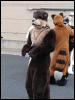 [Stunttiger MFF2006 090]