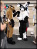 [Stunttiger MFF2006 092]