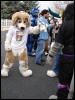 [Stunttiger MFF2006 095]