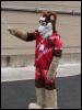 [Stunttiger MFF2006 097]