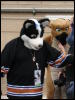 [Stunttiger MFF2006 098]