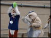 [Stunttiger MFF2006 100]