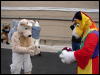 [Stunttiger MFF2006 101]