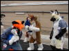 [Stunttiger MFF2006 102]