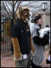 [Stunttiger MFF2006 107]