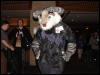 [Stunttiger MFF2006 115]