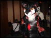 [Stunttiger MFF2006 119]