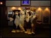 [Taren MFF2006 024]