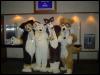 [Taren MFF2006 025]