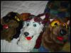 [Taren MFF2006 058]