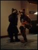 [Taren MFF2006 142]