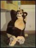 [Taren MFF2006 160]