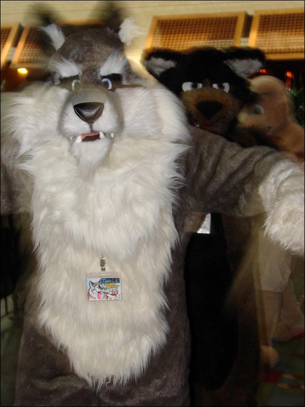 [Tumbler_MFF2006_064.jpg]