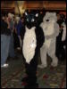 [Tumbler MFF2006 071]