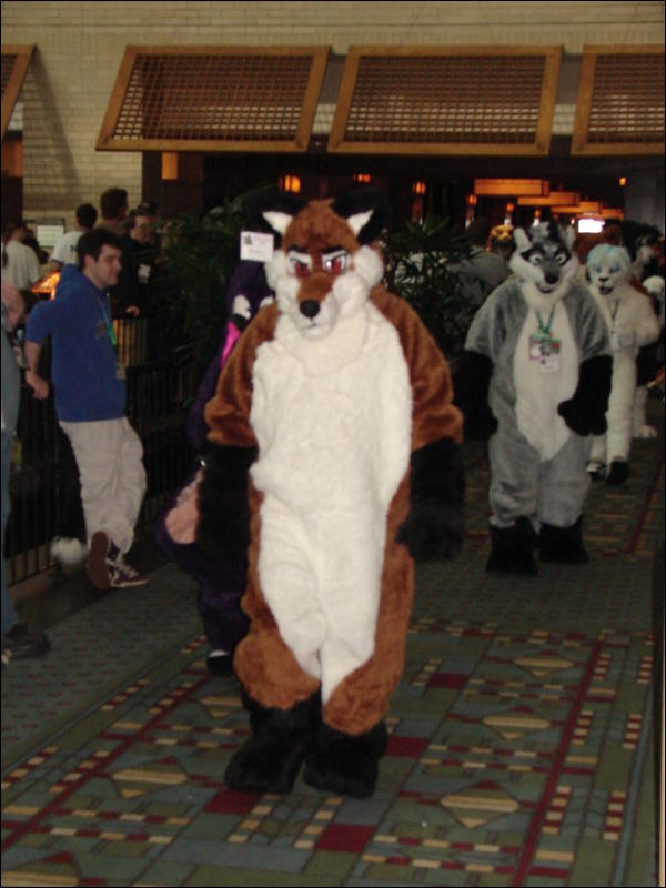 [Tumbler_MFF2006_078.jpg]