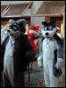 [Tumbler MFF2006 088]