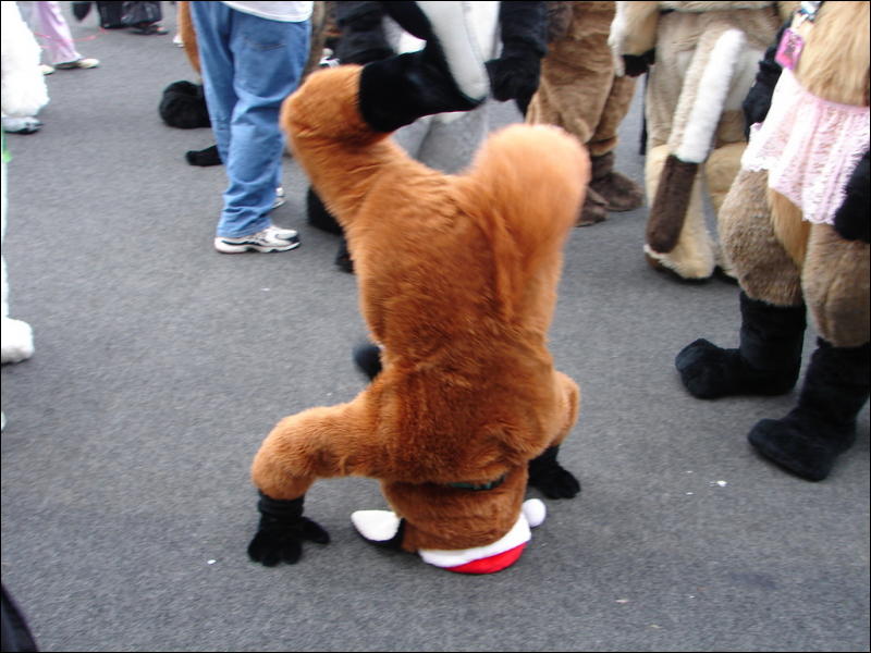 [Tumbler_MFF2006_130.jpg]