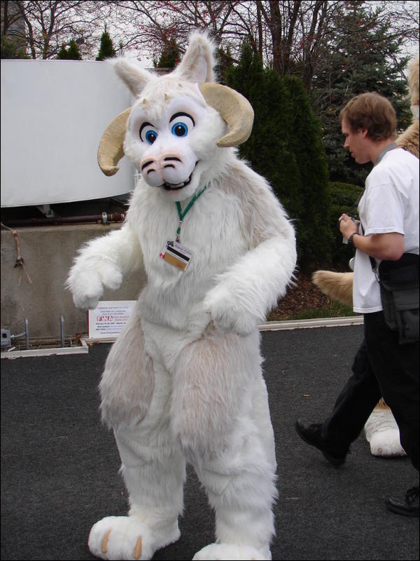 [Tumbler_MFF2006_142.jpg]