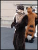 [Tumbler MFF2006 161]