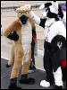 [Tumbler MFF2006 164]